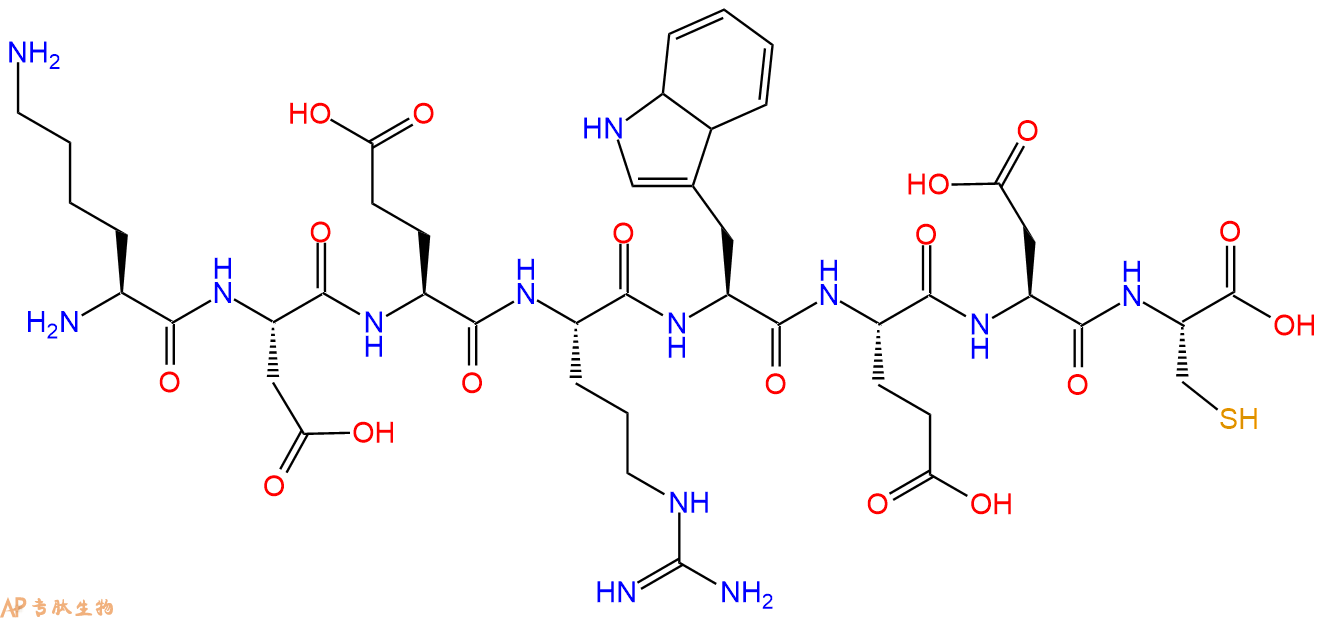 多肽KDERWEDC的參數(shù)和合成路線|三字母為Lys-Asp-Glu-Arg-Trp-Glu-Asp