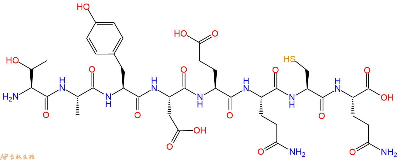 多肽TAYDEQCQ的參數(shù)和合成路線|三字母為Thr-Ala-Tyr-Asp-Glu-Gln-Cys