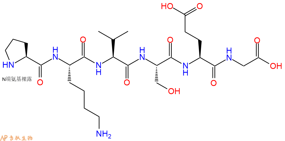 多肽PKVSEG的參數(shù)和合成路線|三字母為Pro-Lys-Val-Ser-Glu-Gly|專肽生物產(chǎn)