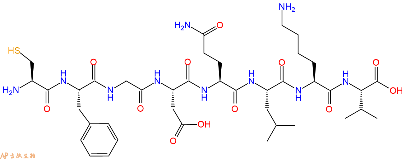 多肽CFGDQLKV的參數(shù)和合成路線|三字母為Cys-Phe-Gly-Asp-Gln-Leu-Lys