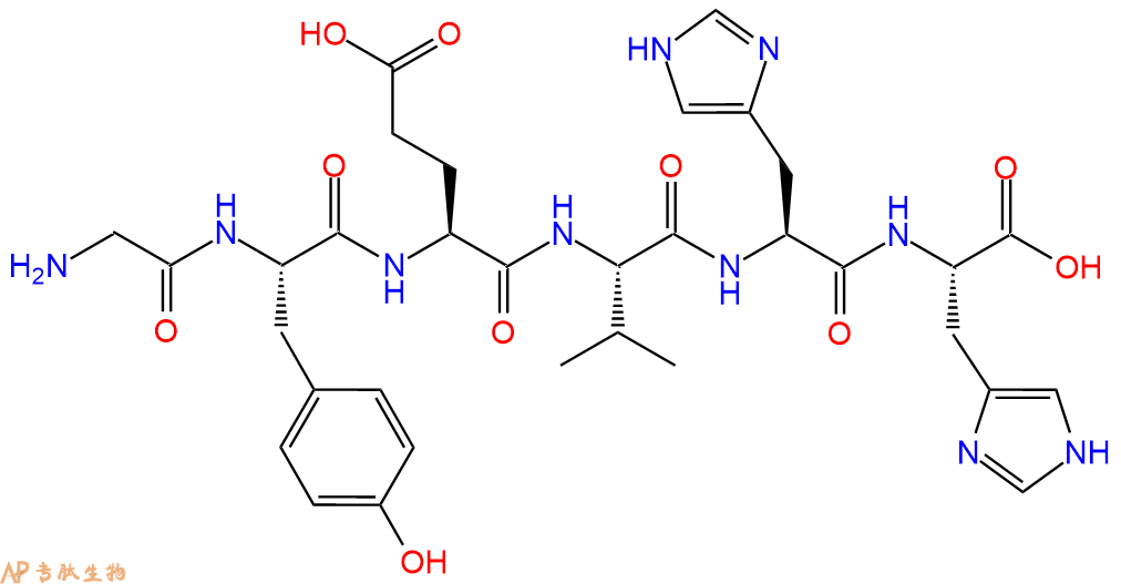 多肽GYEVHH的參數(shù)和合成路線|三字母為Gly-Tyr-Glu-Val-His-His|專肽生物產(chǎn)