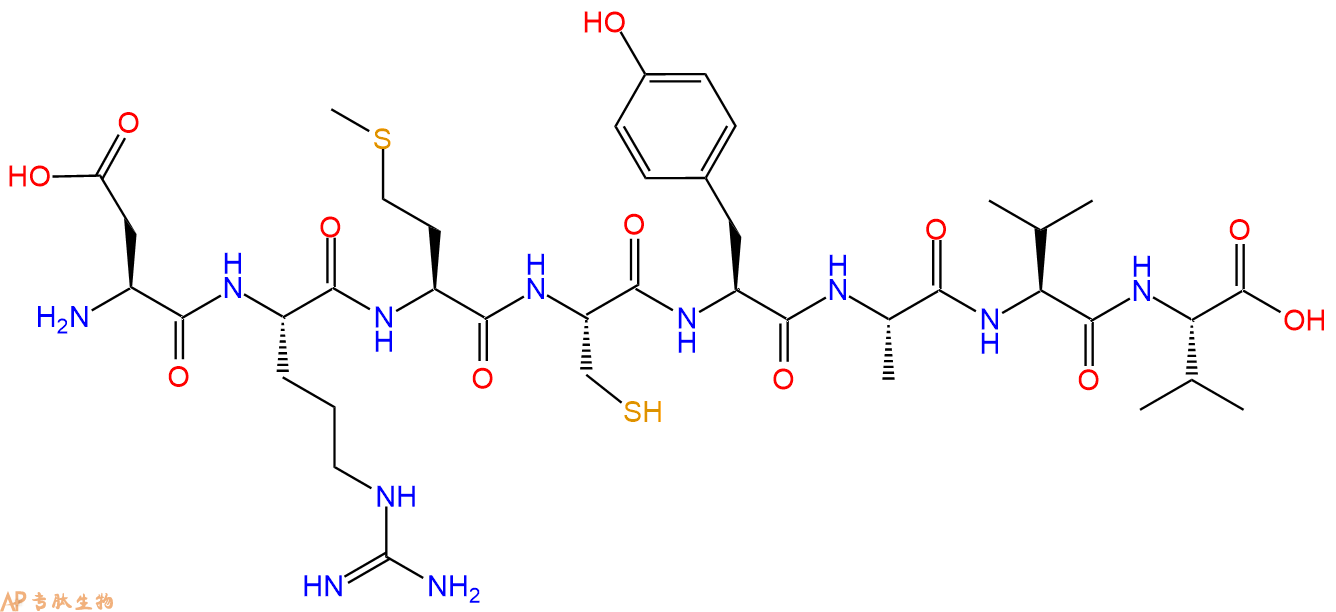 多肽DRMCYAVV的參數(shù)和合成路線|三字母為Asp-Arg-Met-Cys-Tyr-Ala-Val