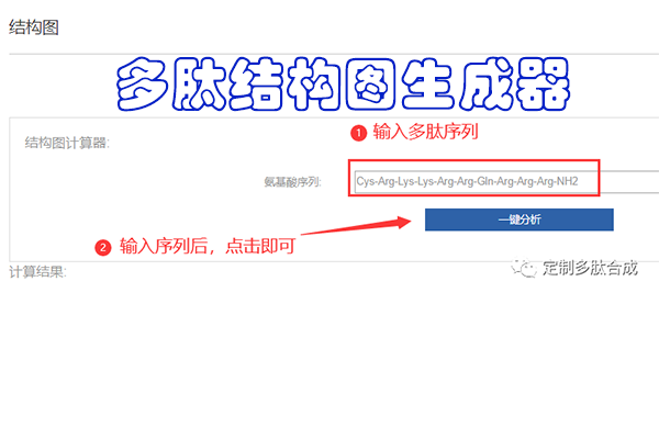 多肽結(jié)構(gòu)圖生成器