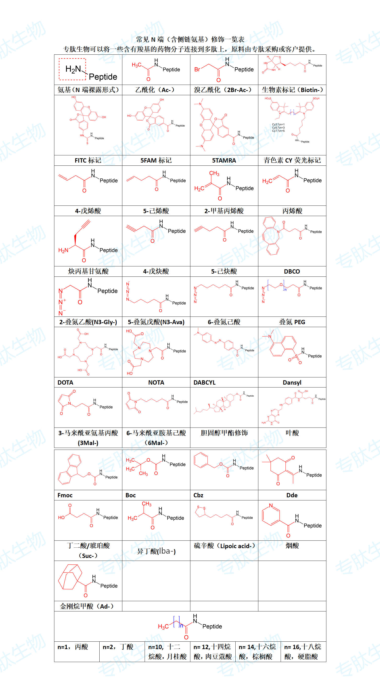 多肽N端修飾表