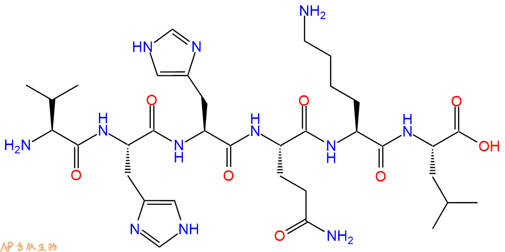 多肽VHHQKL的參數(shù)和合成路線|三字母為Val-His-His-Gln-Lys-Leu|專肽生物產(chǎn)