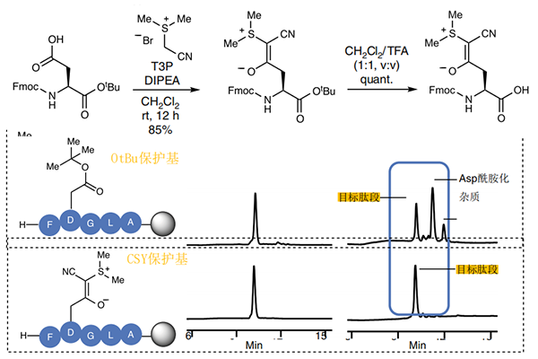 使用氰基亞硫?；?CYS)作為羧酸保護(hù)基防止肽合成過程中的DG重排和天冬酰胺的形成