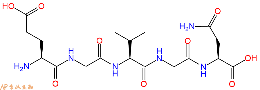多肽EGVGN的參數(shù)和合成路線|三字母為Glu-Gly-Val-Gly-Asn|專肽生物產(chǎn)品-定制多
