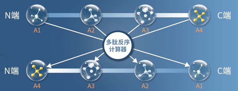 如何將多肽序列反轉(zhuǎn)過來？推薦使用多肽反序計(jì)算器|專肽生物-多肽計(jì)算器