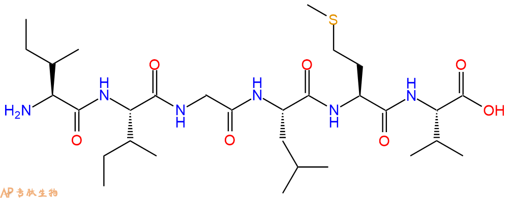 多肽IIGLMV的參數(shù)和合成路線|三字母為Ile-Ile-Gly-Leu-Met-Val|專肽生物產(chǎn)