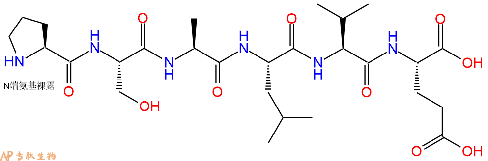 多肽PSALVE的參數(shù)和合成路線|三字母為Pro-Ser-Ala-Leu-Val-Glu|專肽生物產(chǎn)