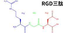 RGD線(xiàn)性三肽