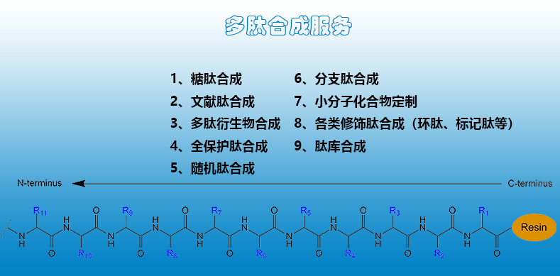 什么是定制多肽合成？