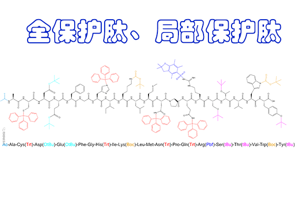 了解全保護(hù)肽和局部保護(hù)肽