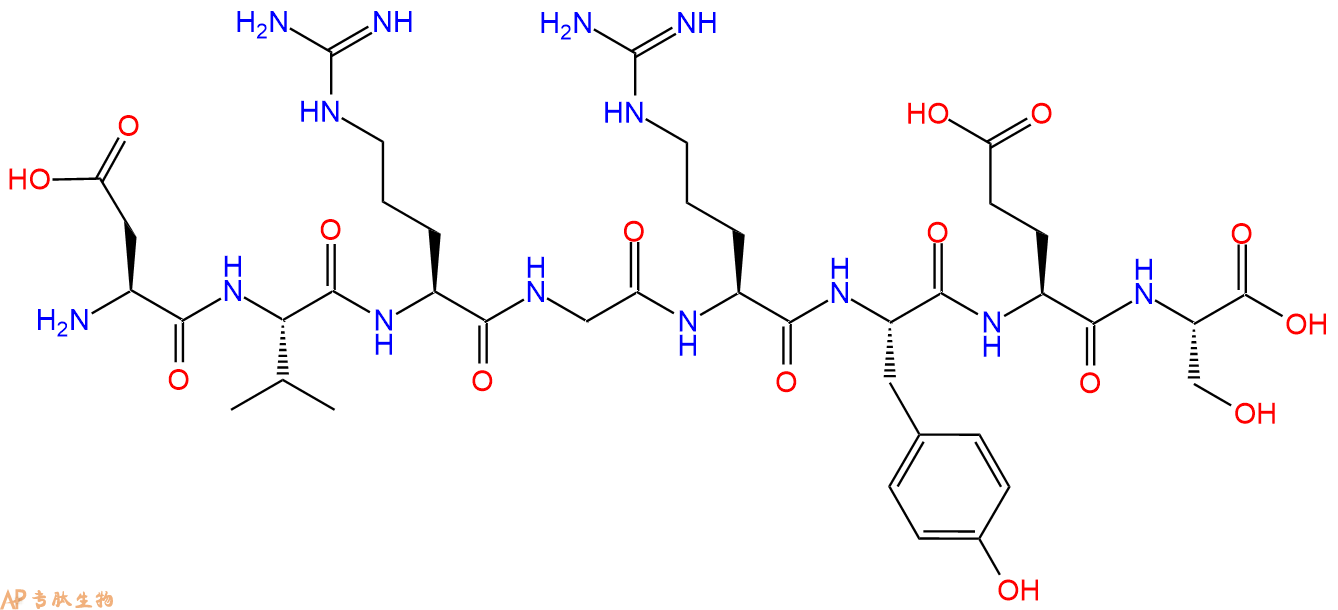 多肽DVRGRYES的參數(shù)和合成路線|三字母為Asp-Val-Arg-Gly-Arg-Tyr-Glu