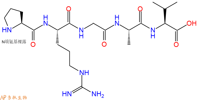 多肽PRGAV的參數(shù)和合成路線|三字母為Pro-Arg-Gly-Ala-Val|專肽生物產(chǎn)品-定制多