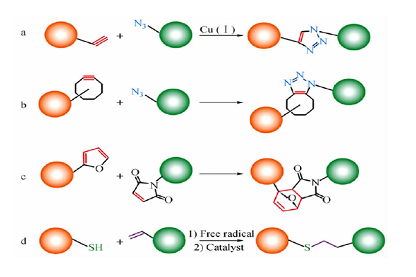 點(diǎn)擊化學(xué)（Click Chemistry ）