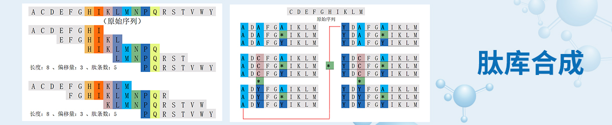 肽庫(kù)合成