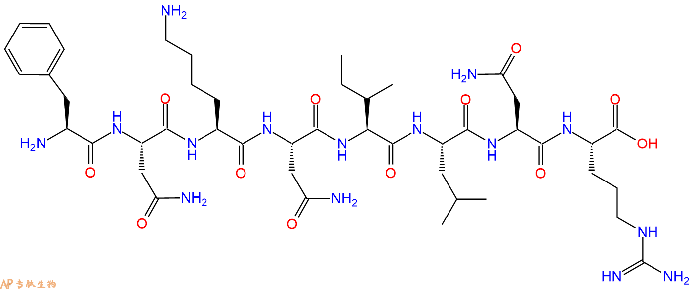 多肽FNKNILNR的參數(shù)和合成路線|三字母為Phe-Asn-Lys-Asn-Ile-Leu-Asn