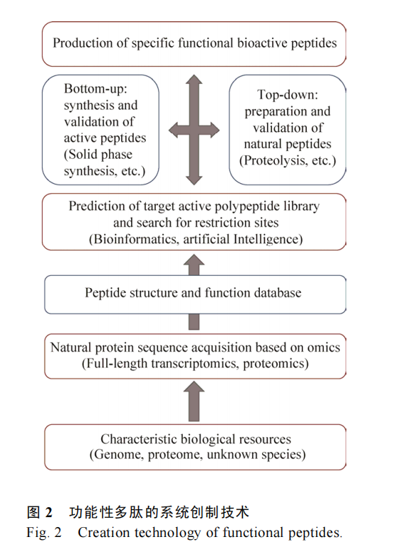 天然活性多肽的發(fā)掘策略和生產(chǎn)技術(shù)