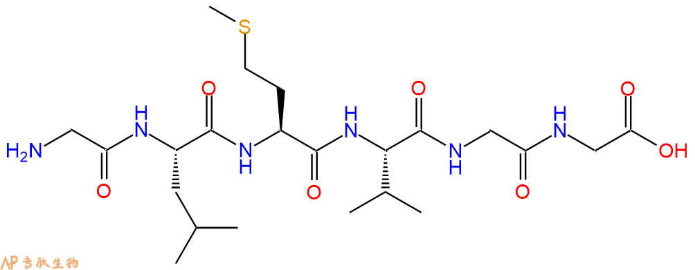 多肽GLMVGG的參數(shù)和合成路線|三字母為Gly-Leu-Met-Val-Gly-Gly|專肽生物產(chǎn)
