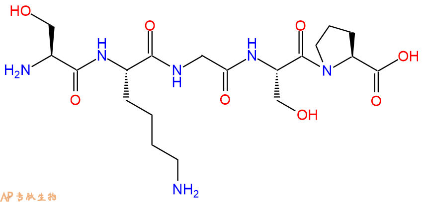 多肽SKGSP的參數(shù)和合成路線|三字母為Ser-Lys-Gly-Ser-Pro|專肽生物產(chǎn)品-定制多