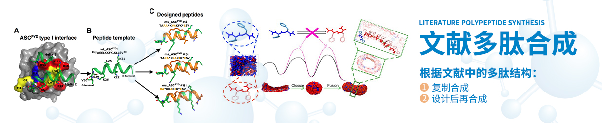 文獻(xiàn)多肽合成
