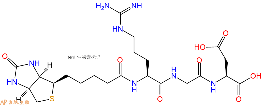 生物素標記肽的幾種結(jié)構(gòu)形式匯總|多肽結(jié)構(gòu)計算器