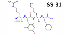 線(xiàn)粒體靶向抗氧化劑SS-31