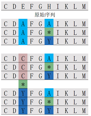 位置掃描肽庫(kù)計(jì)算器(專(zhuān)肽生物amynixphotography.com)