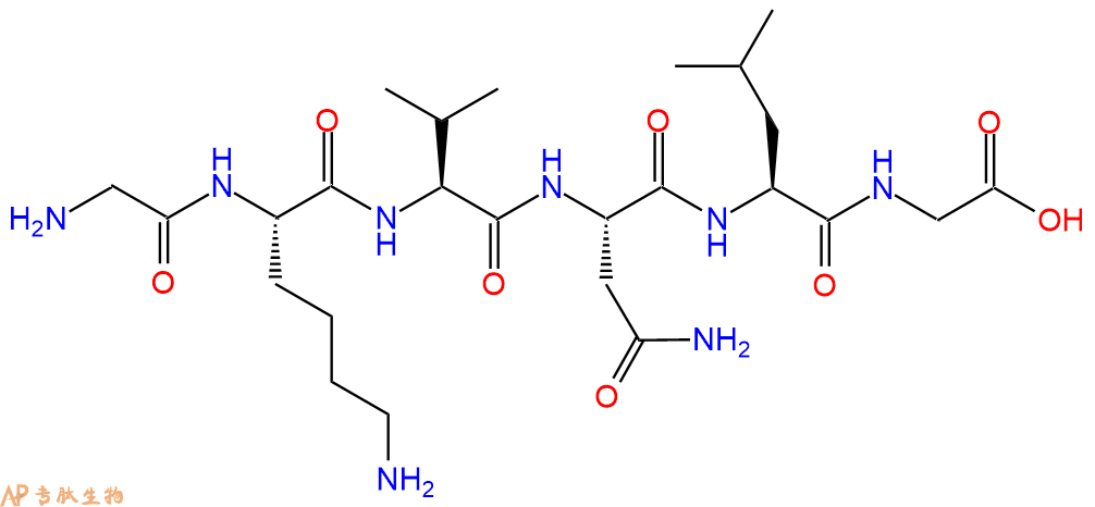 多肽GKVNLG的參數(shù)和合成路線|三字母為Gly-Lys-Val-Asn-Leu-Gly|專肽生物產(chǎn)