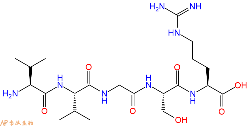 多肽VVGSR的參數(shù)和合成路線|三字母為Val-Val-Gly-Ser-Arg|專肽生物產(chǎn)品-定制多