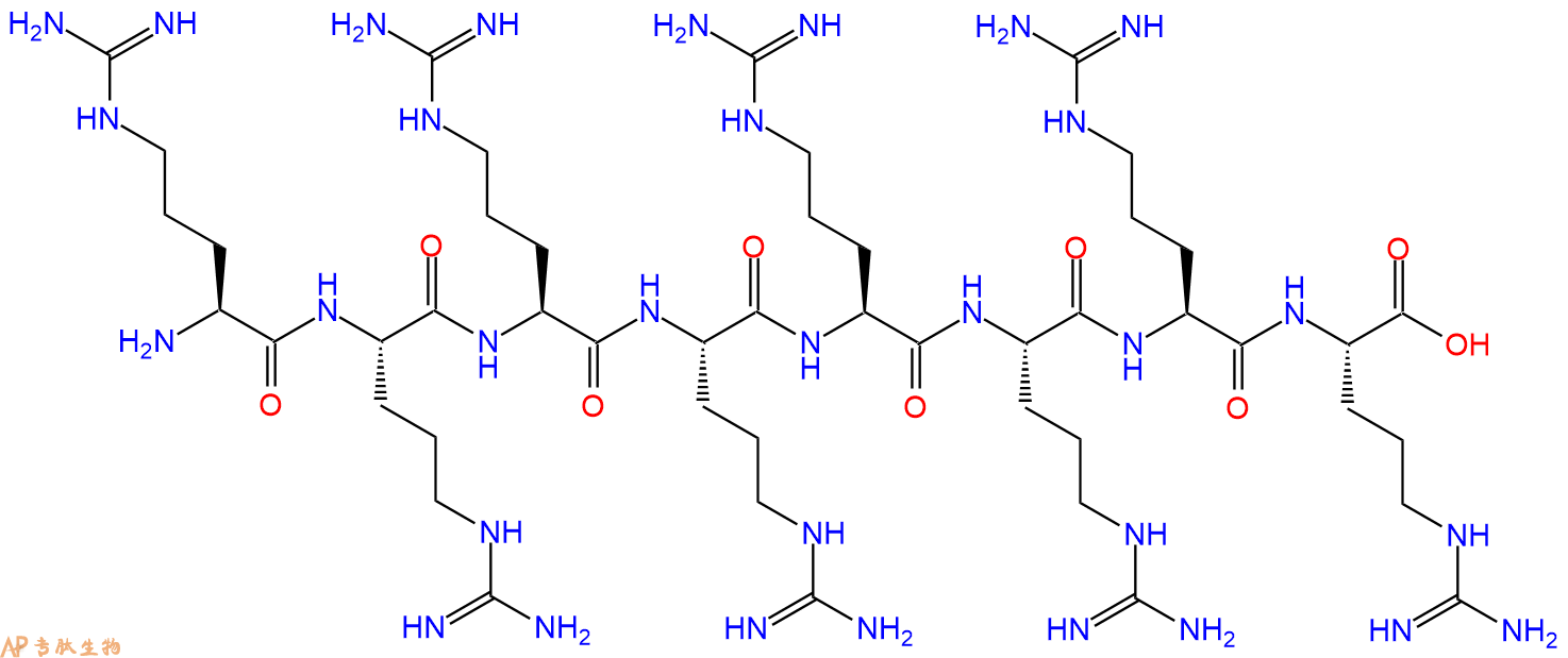多肽RRRRRRRR的參數(shù)和合成路線|三字母為Arg-Arg-Arg-Arg-Arg-Arg-Arg