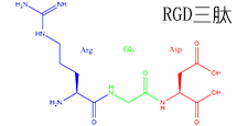 RGD線性三肽