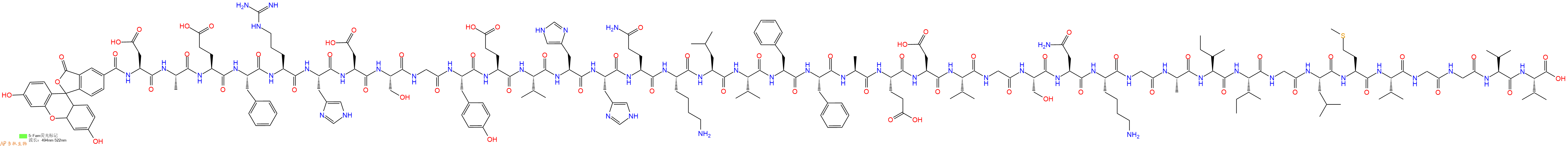 專肽生物產(chǎn)品淀粉肽Fam-βAmyloid(1-40)1678416-08-4