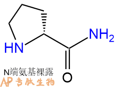 專肽生物產(chǎn)品　D-脯氨酰胺62937-45-5