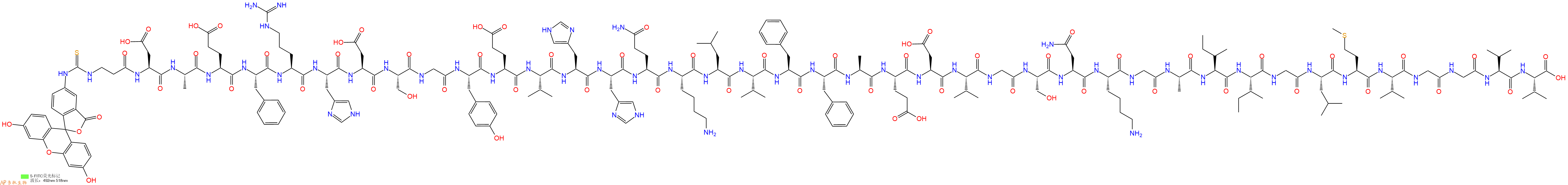 專肽生物產品淀粉肽FITC-β-Ala-Amyloid β-Protein (1-40)1802087-76-8