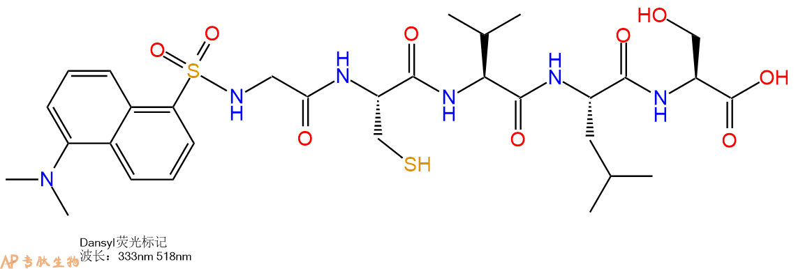 專肽生物產(chǎn)品標(biāo)記肽Dansyl-Gly-Cys-Val-Leu-Ser-OH143744-88-1