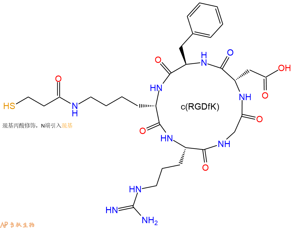 專肽生物產(chǎn)品c(RGD)環(huán)肽：cyclo{RGDfK(Mpa)}、環(huán)狀多肽c(RGDfK)-巰基、Mpa-c(RGDfK)、c(RGDfK)-SH