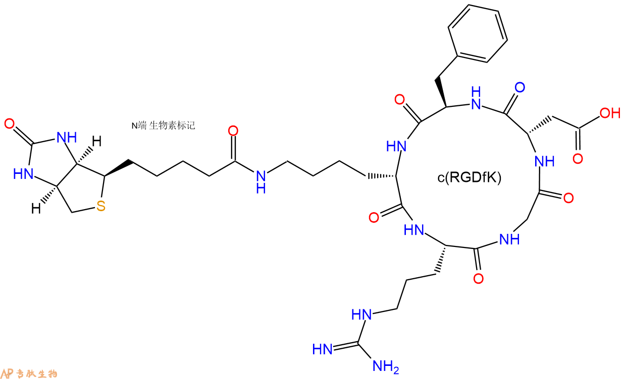 專肽生物產(chǎn)品c(RGD)環(huán)肽：c[RGDfK(Biotin)]|、環(huán)狀多肽c(RGDfK)-生物素