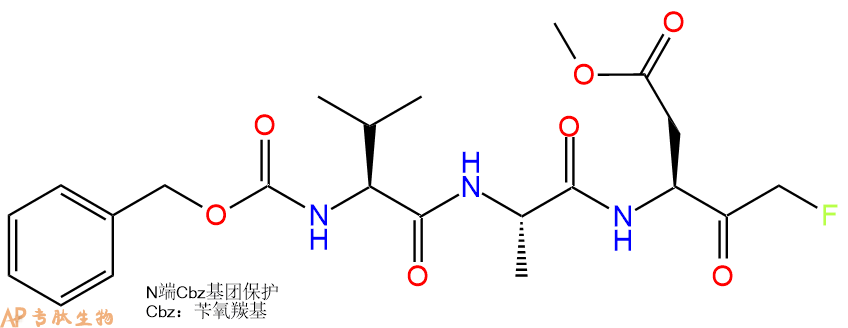 專肽生物產(chǎn)品半胱氨酸蛋白酶Caspase Inhibitor I634911-81-2/187389-52-2