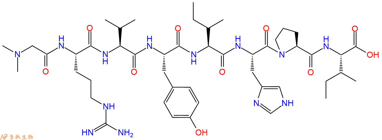 專肽生物產(chǎn)品血管緊張素(Sar1, Ile8)-AngiotensinI I37827-06-8/2918768-31-5/67724-27-0