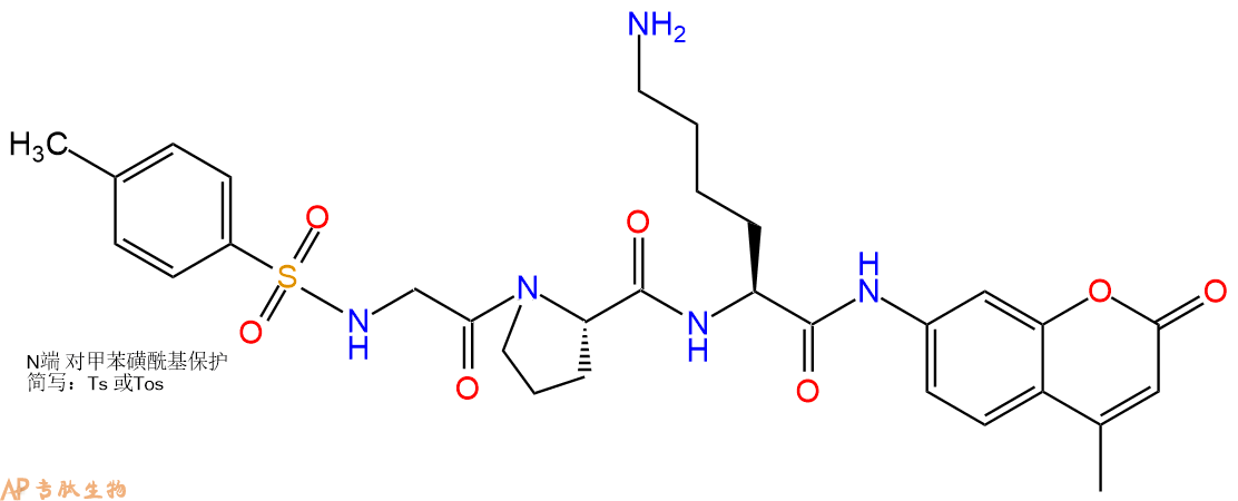 專肽生物產(chǎn)品標(biāo)記肽Tos-GPK-7-氨基-4-甲基香豆素128202-25-5