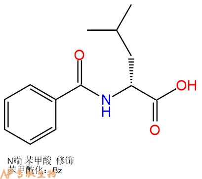 專肽生物產(chǎn)品N-苯甲酰亮氨酸17966-67-5