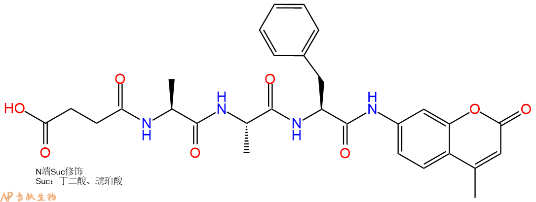 專肽生物產(chǎn)品三肽Suc-Ala-Ala-Phe-7-氨基-4-甲基香豆素71973-79-0