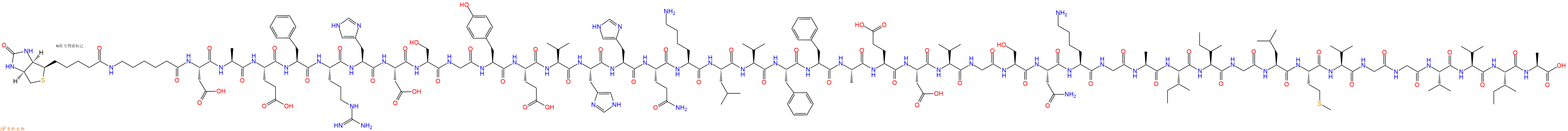 專肽生物產(chǎn)品淀粉肽Biotinyl-εAhx-Amyloid β-Protein (1-42)1872440-40-8