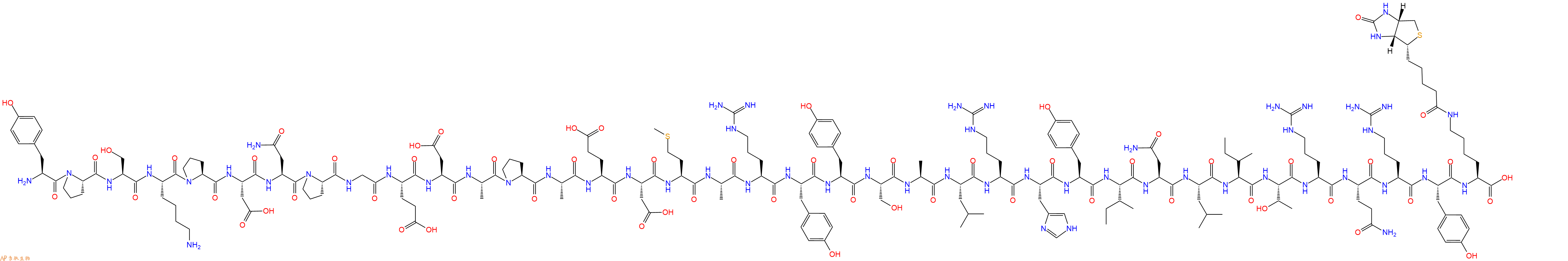 專肽生物產(chǎn)品神經(jīng)肽Y Neuro Peptide Y-Lys(Biotin)humanrat1927927-12-5