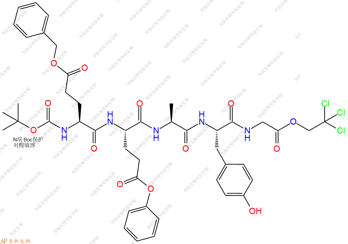 專肽生物產(chǎn)品五肽Boc-Glu(OBzl)-Glu(OBzl)-A-Tyr-G-NHNTroc83443-94-1