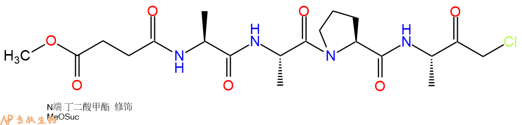 專肽生物產(chǎn)品MeOSuc-Ala-Ala-Pro-Ala-chloromethylketone111682-13-4