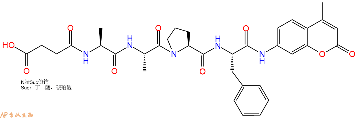 專肽生物產(chǎn)品肽基脯氨酰異構(gòu)酶底物：Suc-AAPF-7-氨基-4-甲基香豆素88467-45-2