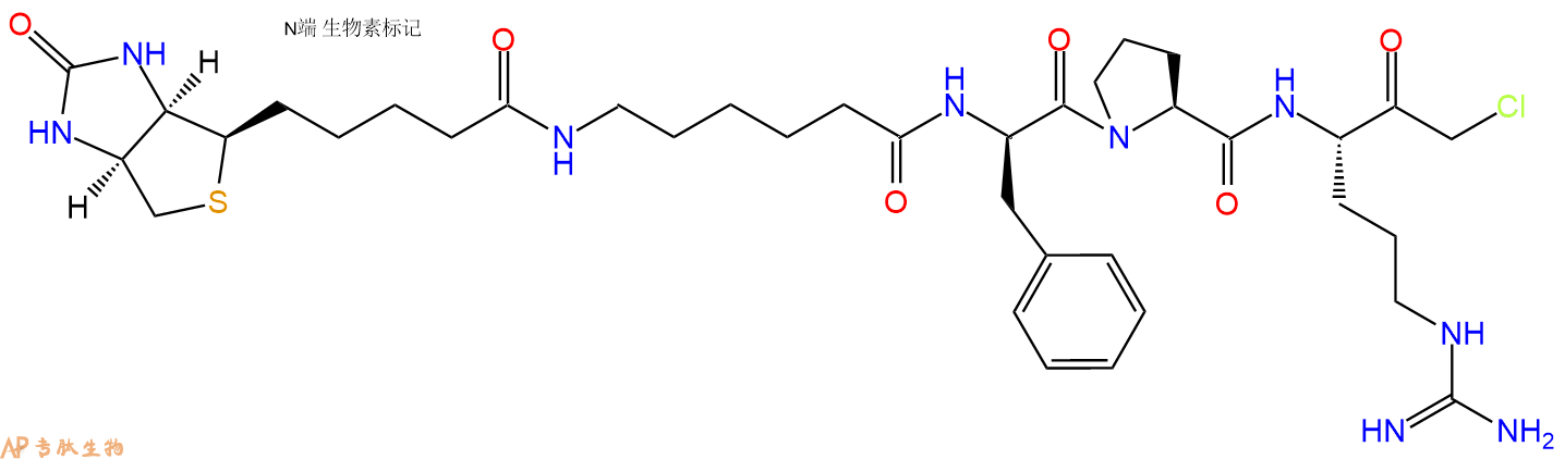 專肽生物產(chǎn)品CMK修飾肽：Biotin-LC-fPR-CMK131104-10-4